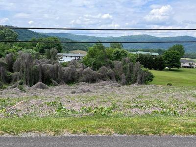 Lot 7 Old Hwy 11W
