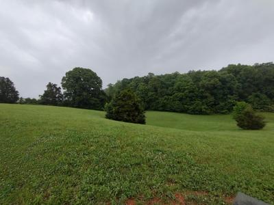 LOT 65 COW POKE LN