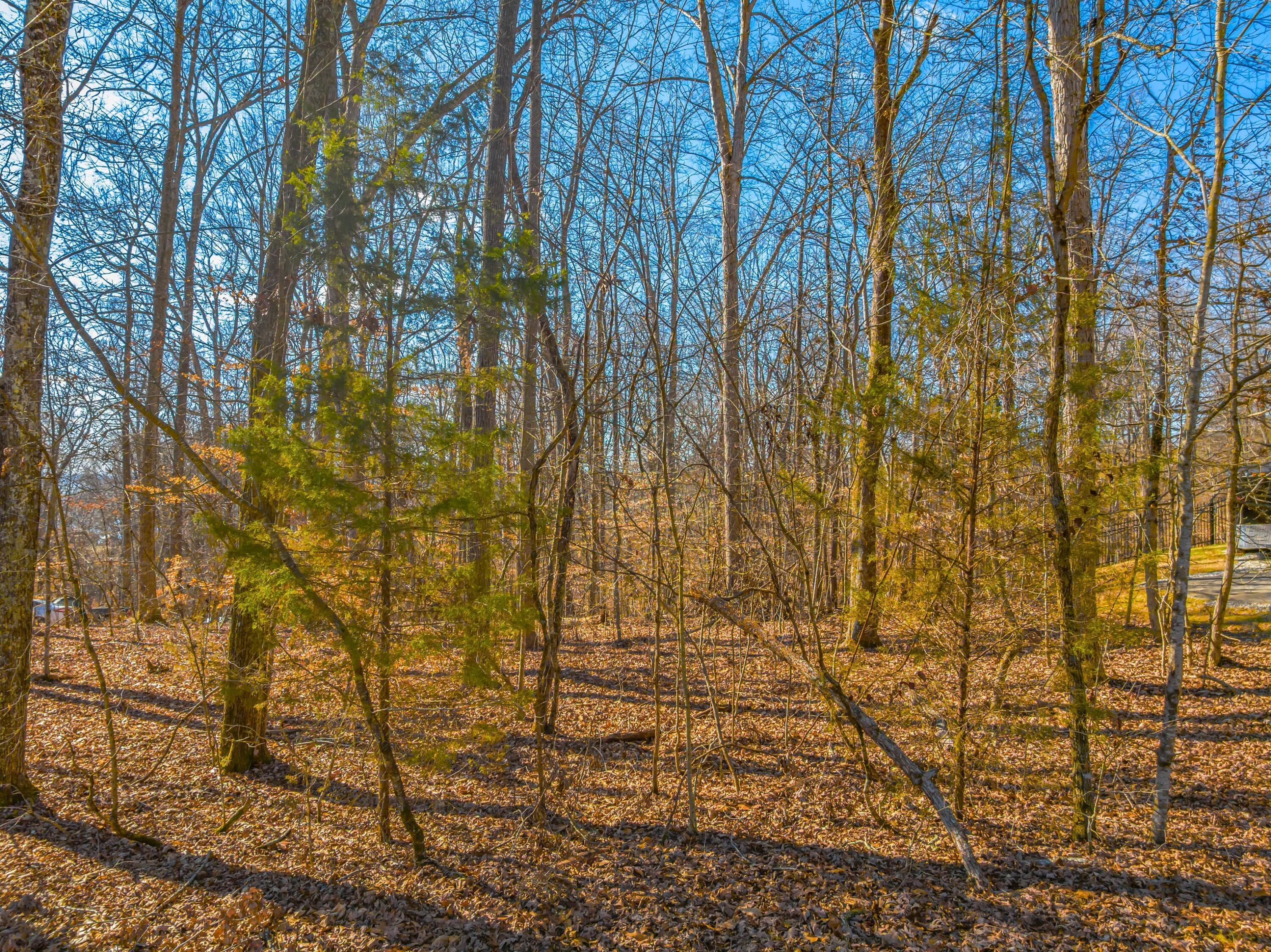 Image 3: 2