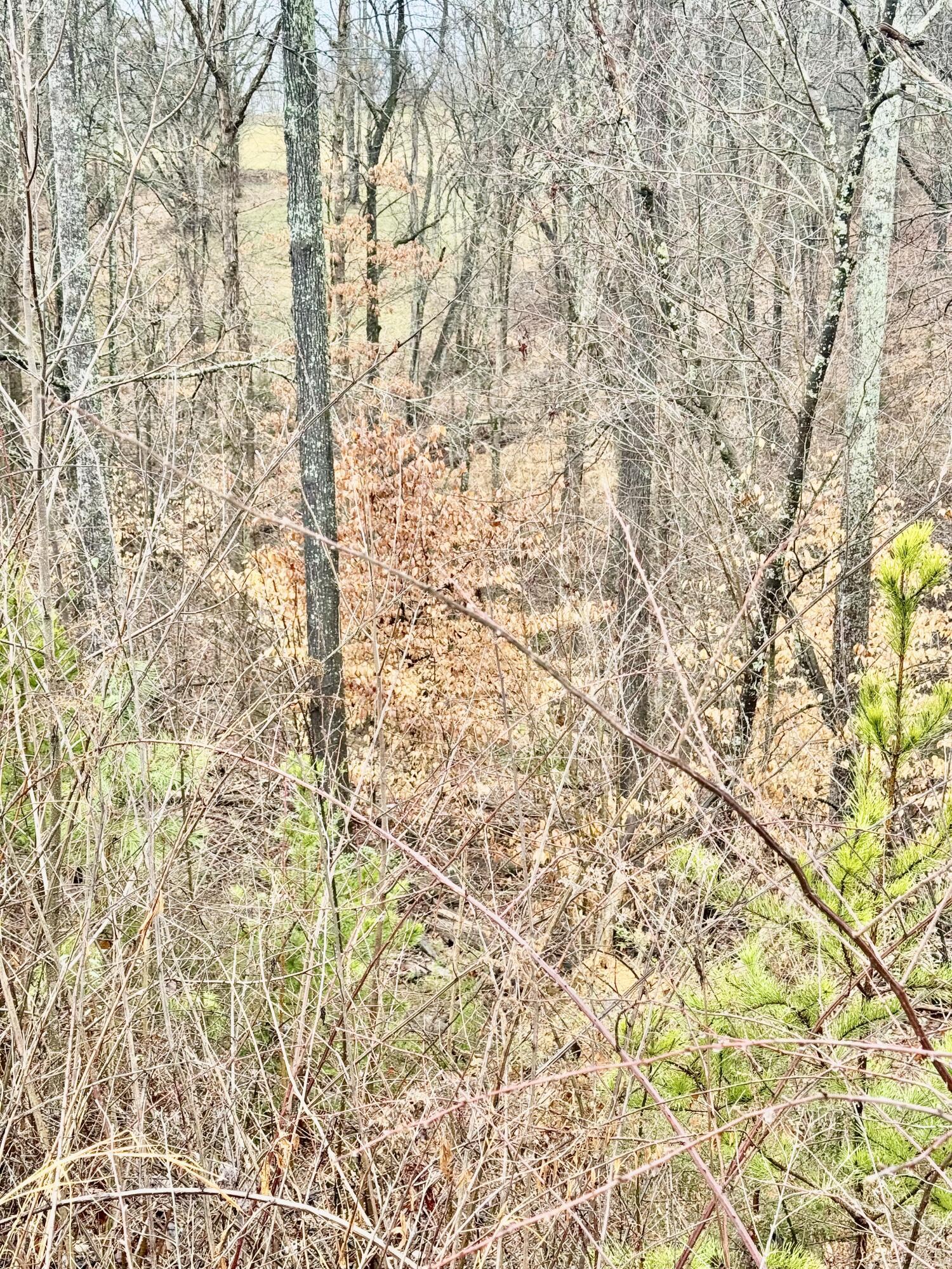 Image 3: IMG_5538