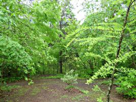 Lot 3 Indian Creek Rd