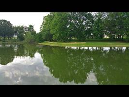 Lot 55 Wild Pear Trail