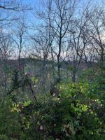 Lot 19 Sugar Maple Loop Rd