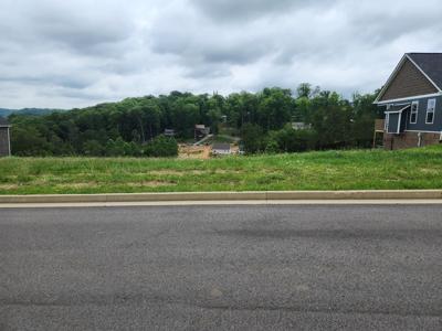Lot 101 Shoreline Vista