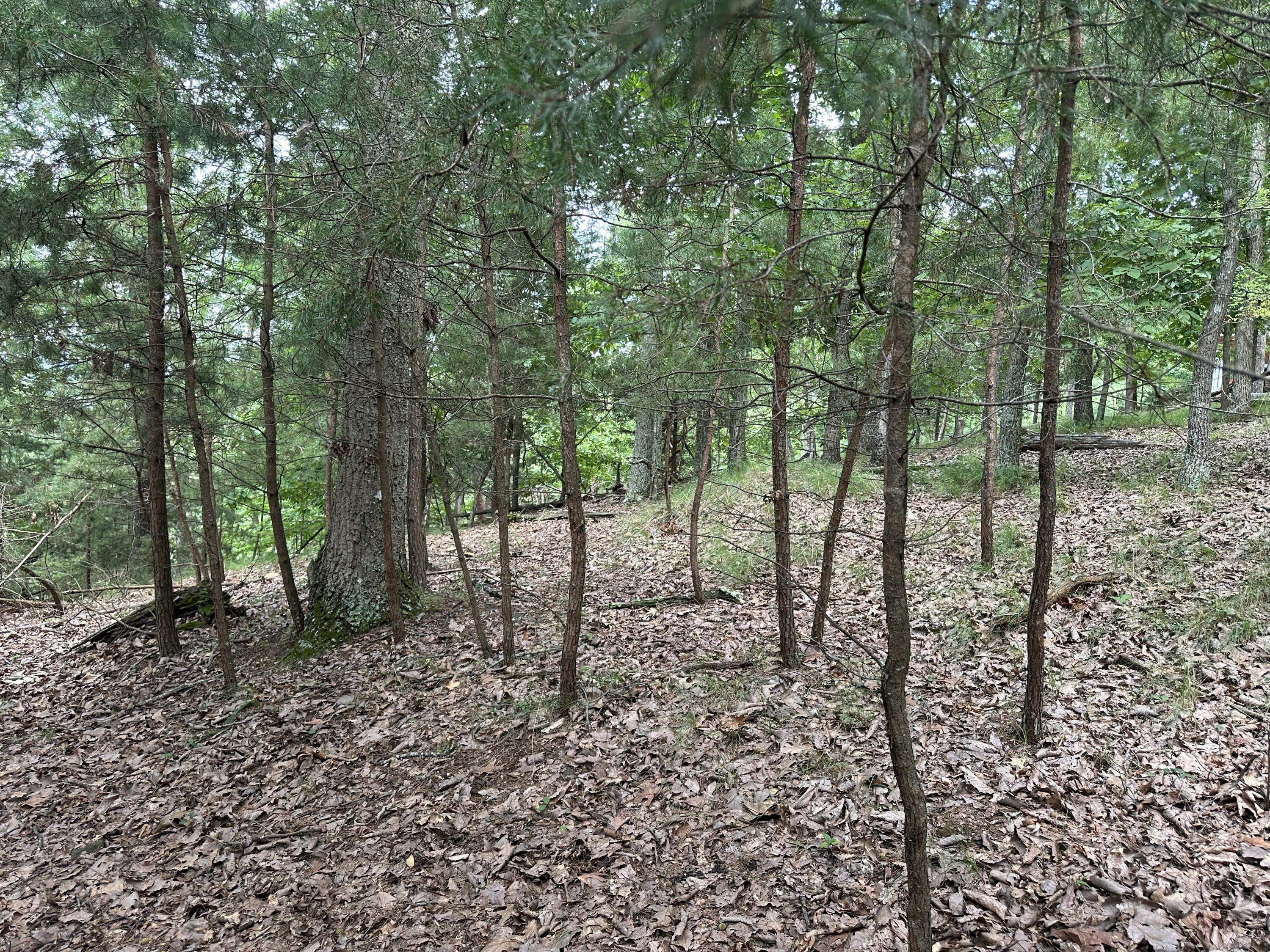Image 4: IMG_6328