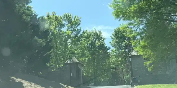Image 3: IMG_2140