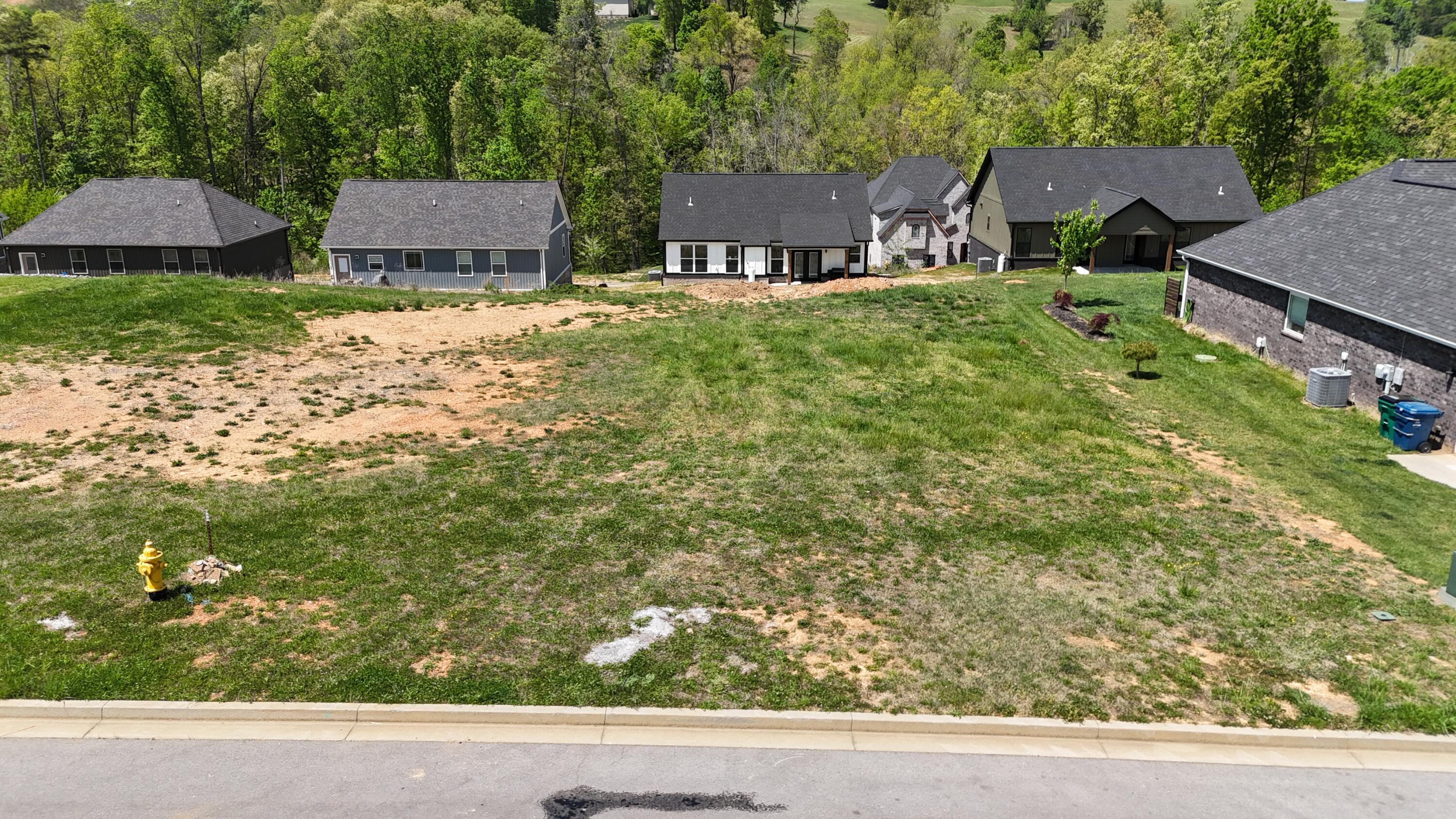 Image 1: Lot