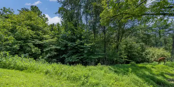 Image 4: 006A0088-HDR