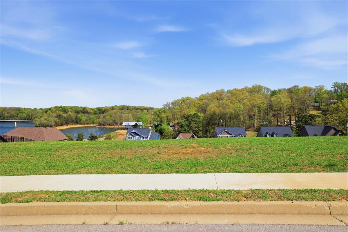 Image 2: View From Lot