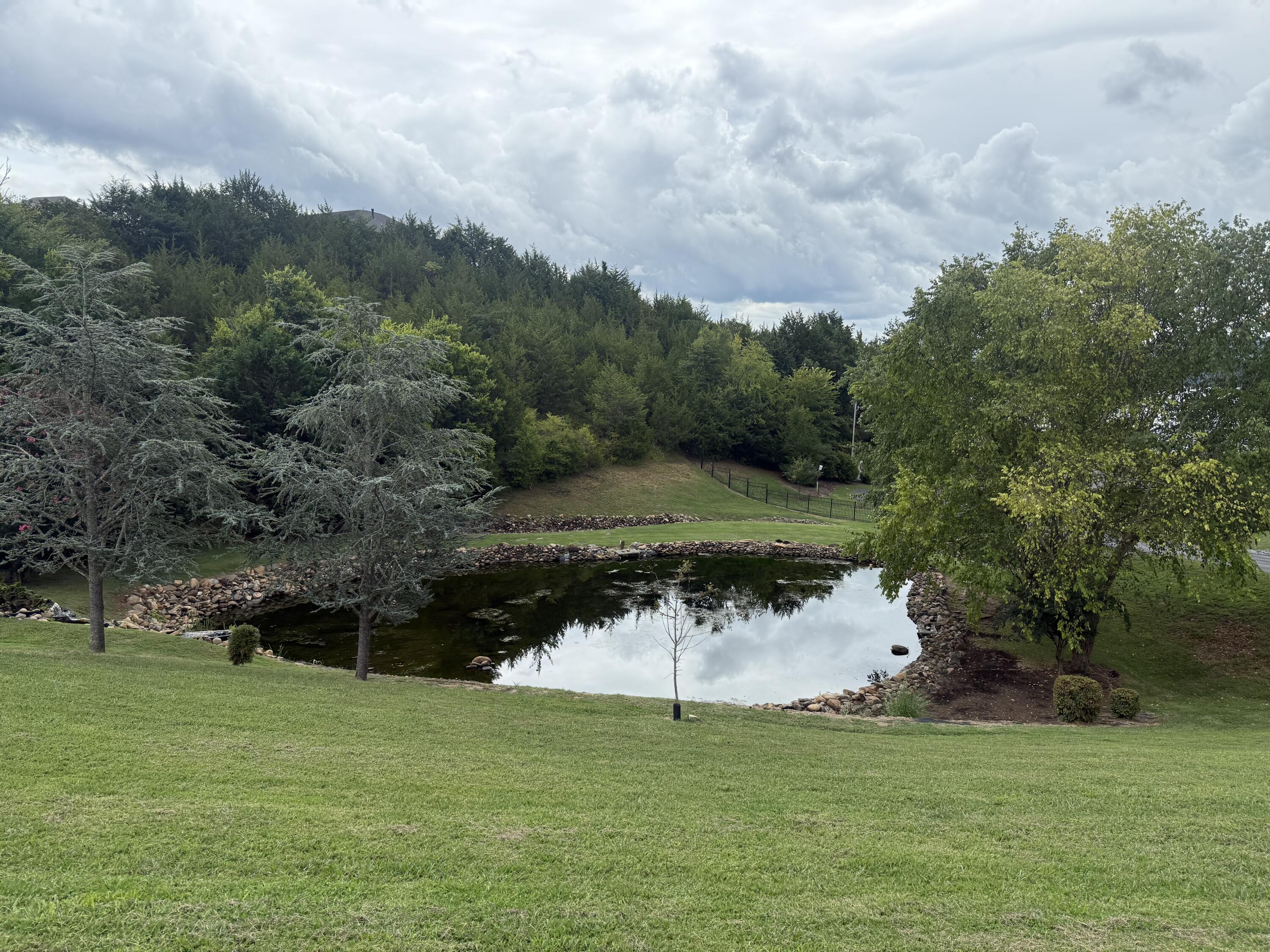 Image 3: IMG_3947