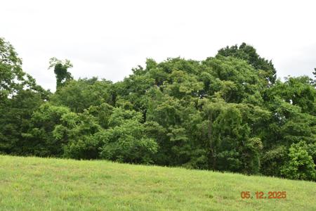 Lot 230 Harbor View