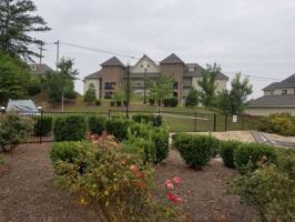 213 Sandpiper