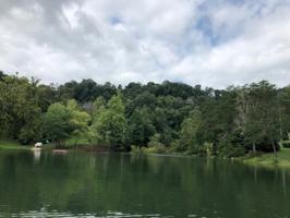 tract 2 NE Lakemoore Dr