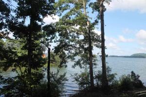 LOT 24 LAKE FOREST CIRCLE