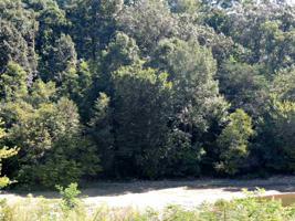 Lot 4 Ernie Roberts Road