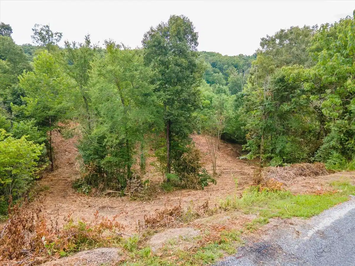 Image 1: 01-DJI_0316-HDR