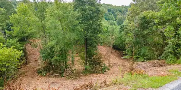 Lot 102 Stone Bridge Dr