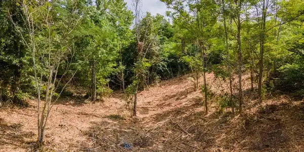 Image 2: 13-DJI_0388-HDR