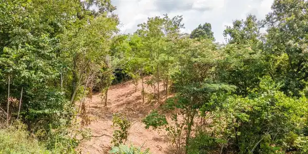 Image 3: 12-DJI_0378-HDR