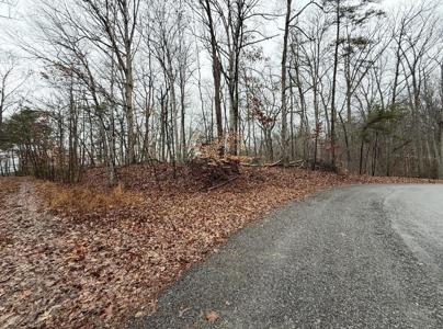 Lot #845 Stoneway Court