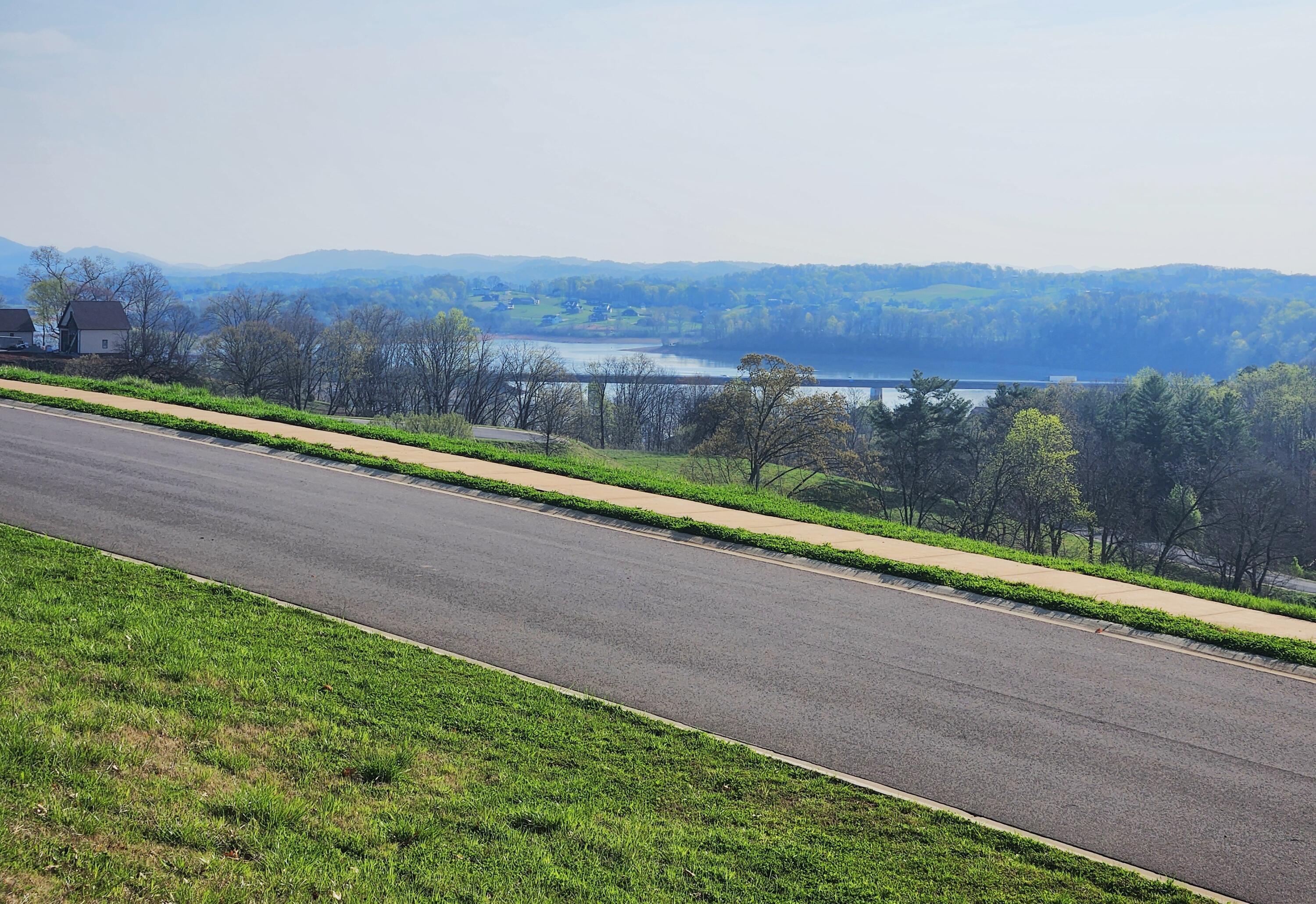 Image 2: windswept 2755