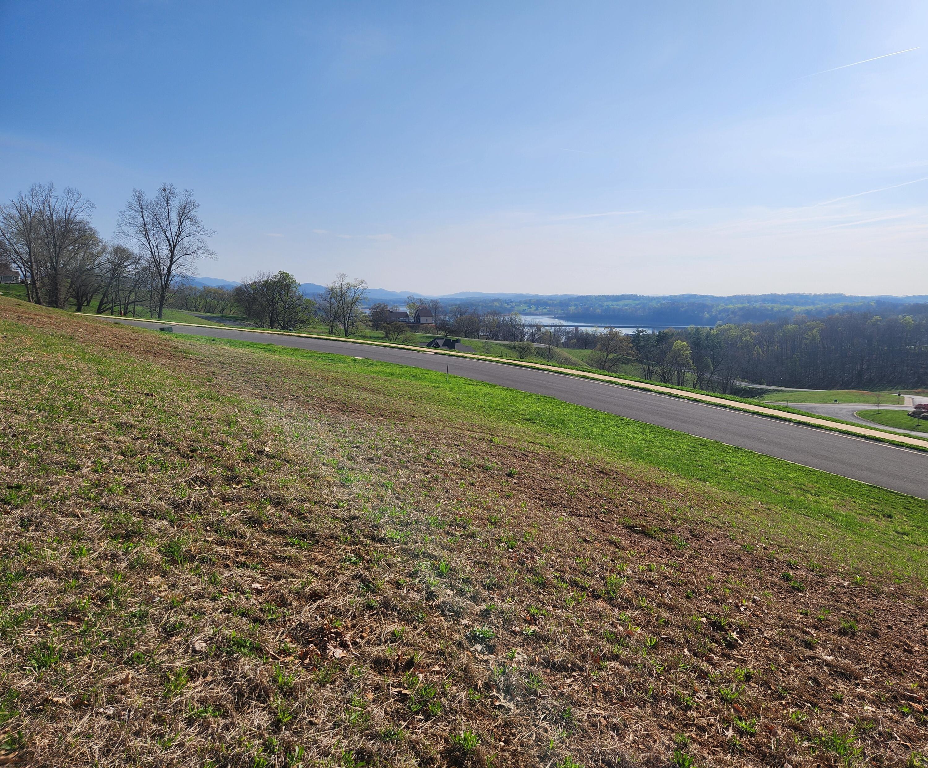 Image 3: windswept 2756