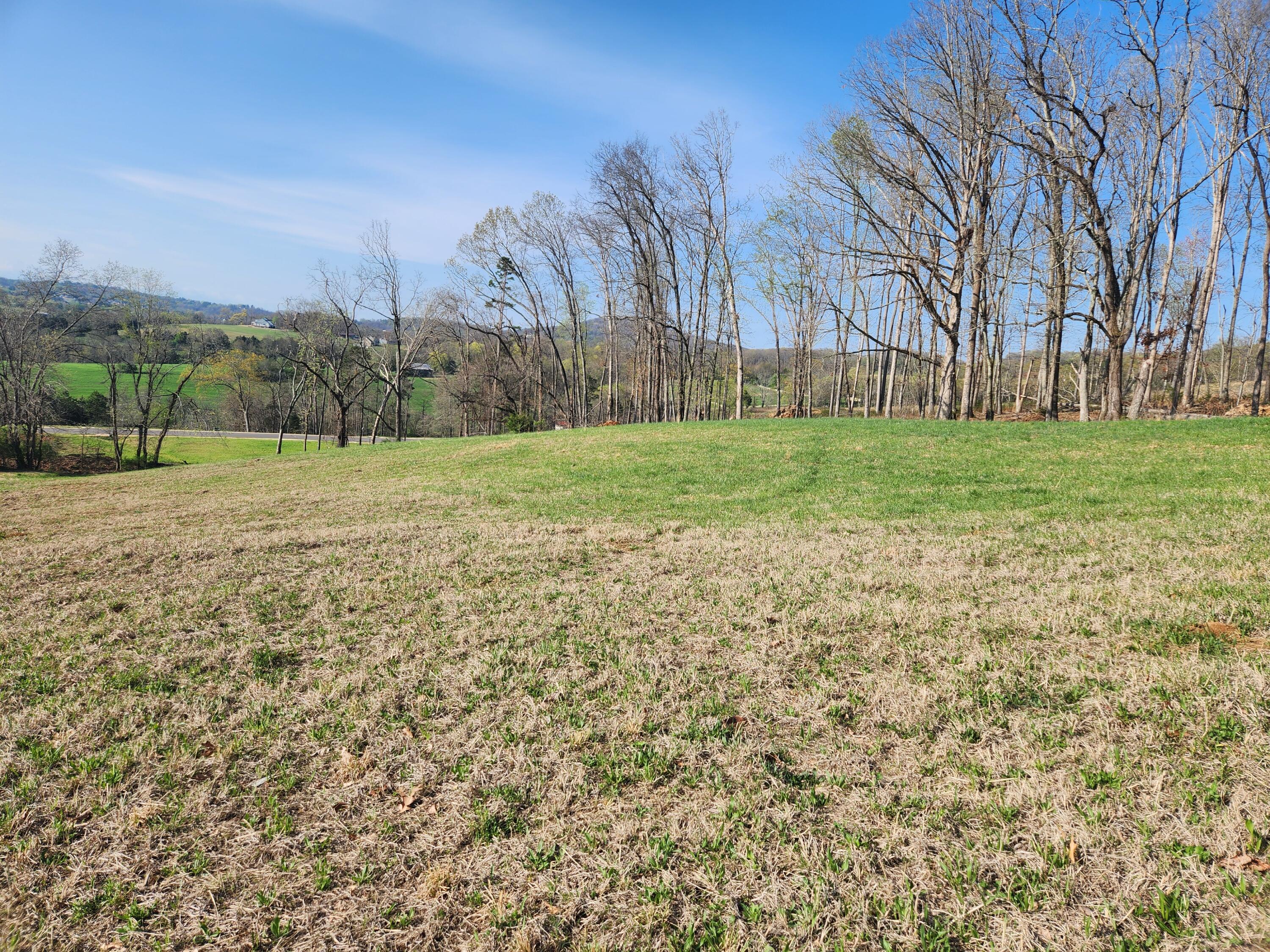 Image 4: windswept 2757