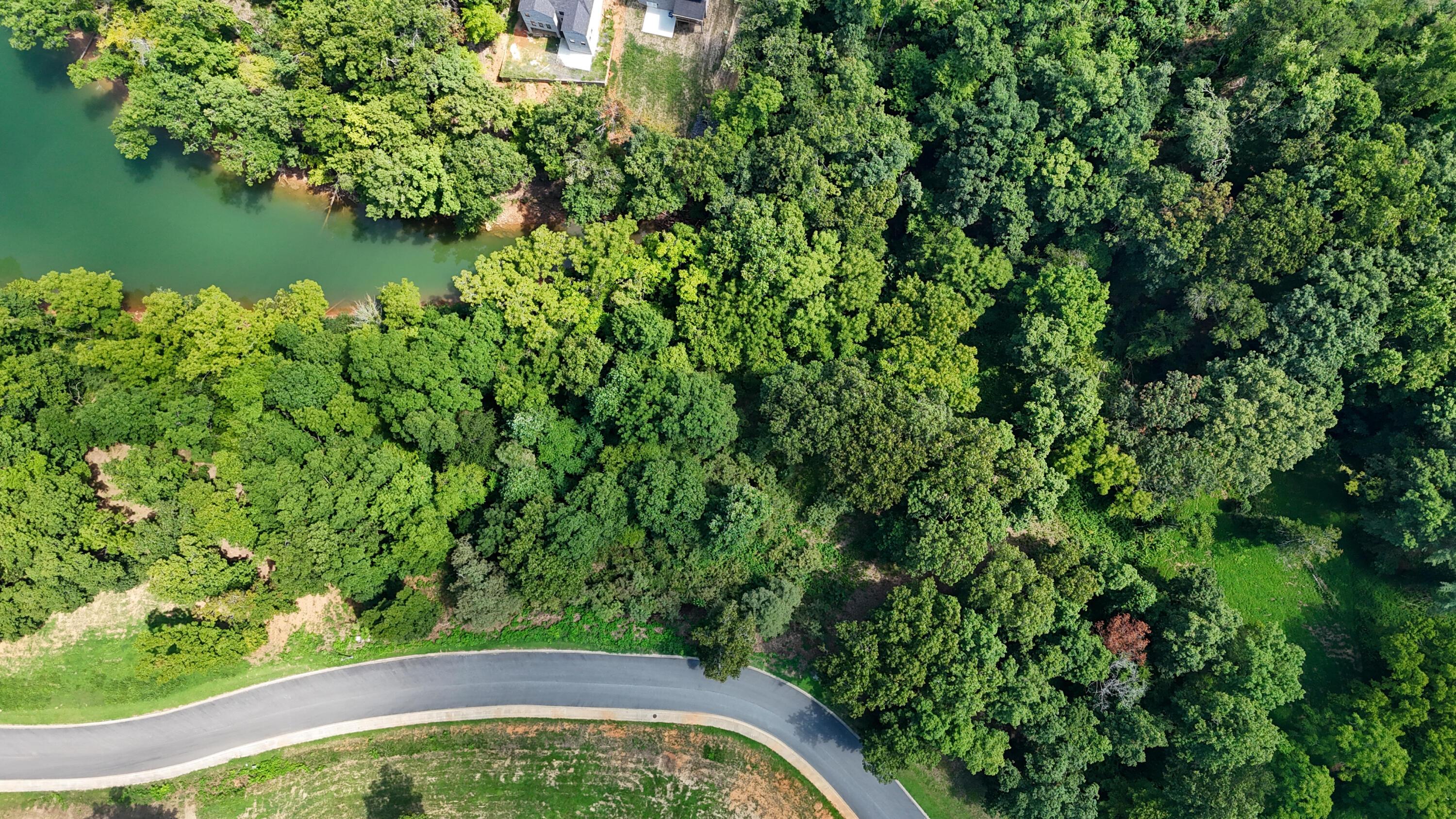 Image 2: dji_fly_20250820_140546_0057_17557225308