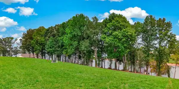 Lot 41 English Mountain