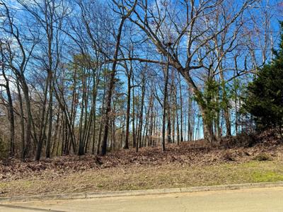 Lot 37 Lake Vista Drive