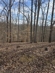 Lot 937 Stoneway Court