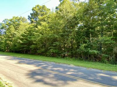 Lot 20 Plantation Point Drive