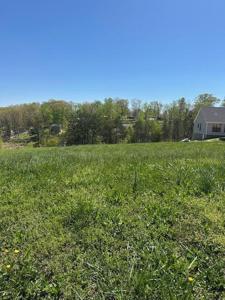 LOT 104 Shoreline Vista