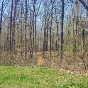 Lot 136 Tumbleweed Trail