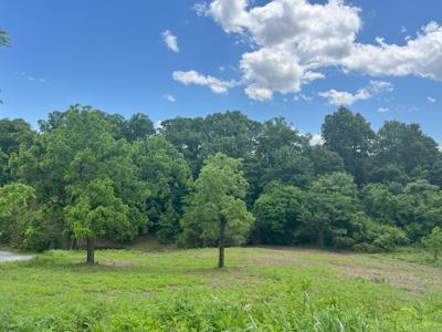 Lot 64 Whispering Court
