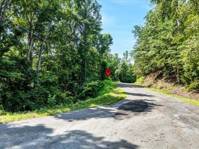 Lot 70 Grandpas Ridge
