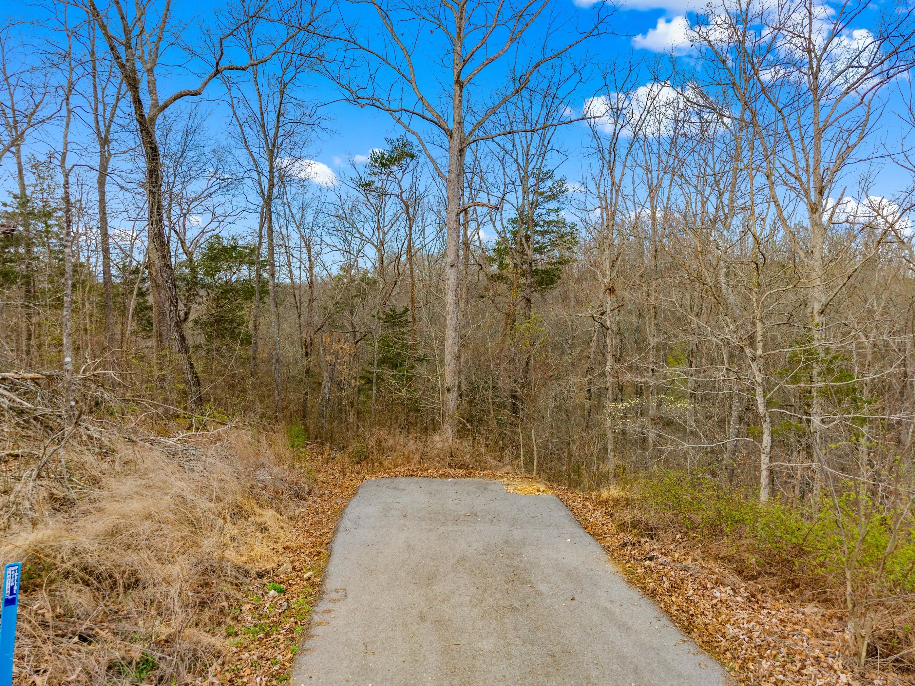 Image 3: 003-WatersideCoveDrive-TN-37725-SMALL