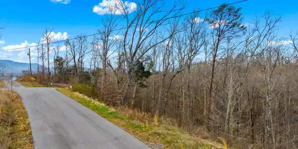 Image 4: 004-WatersideCoveDrive-TN-37725-SMALL