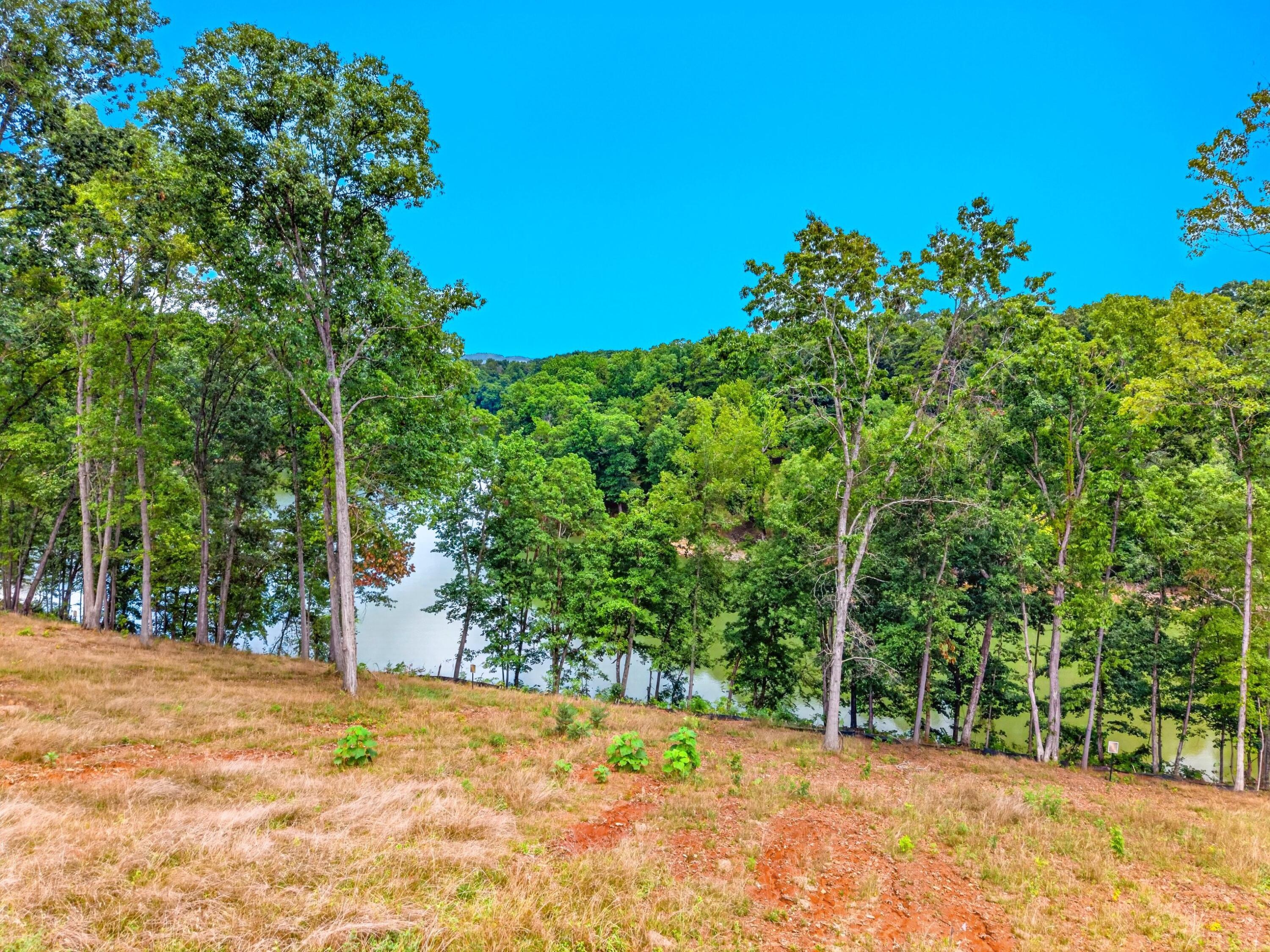 Image 3: 007-ShorewoodPoint-Lot17-Morristown-TN-3
