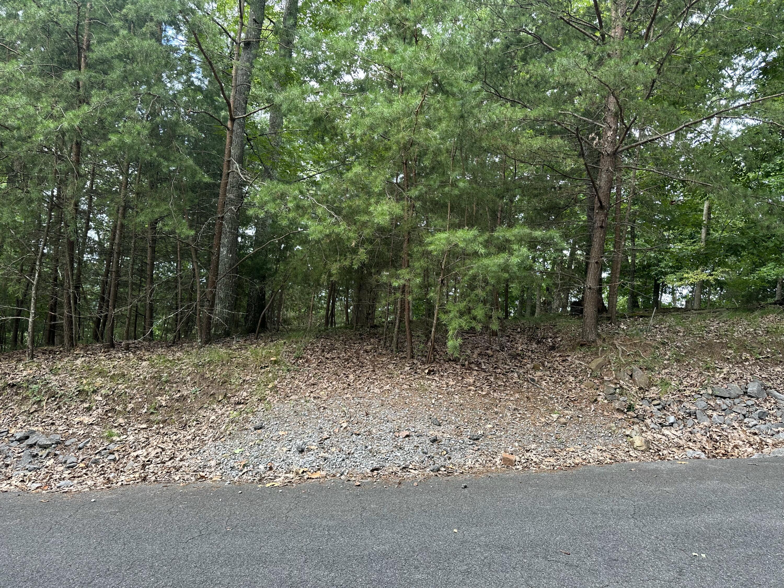 Image 1: Road View of Property