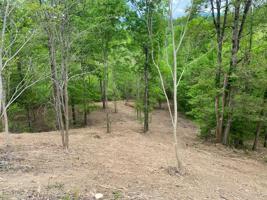 Lot 25 Stone Bridge Dr.