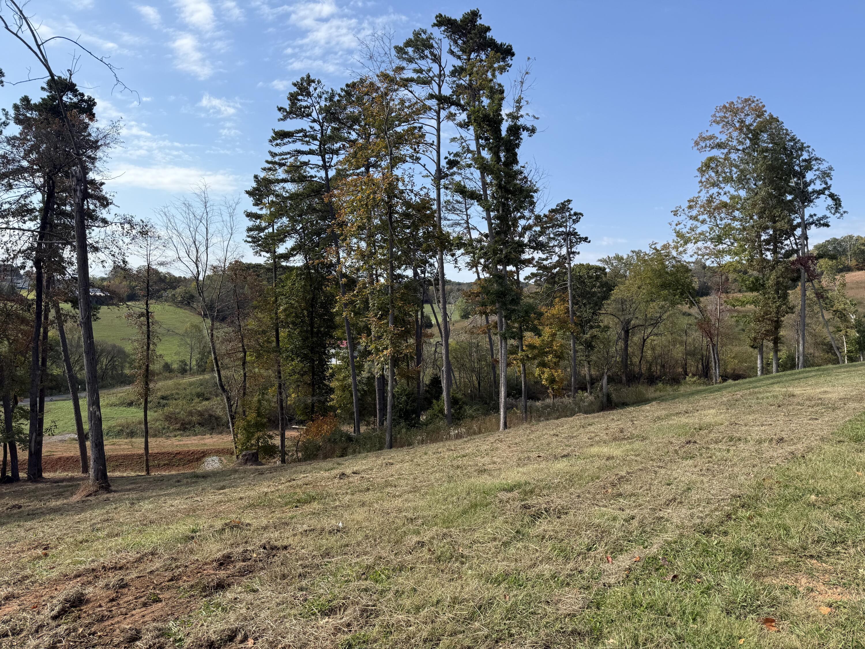 Image 2: IMG_5547