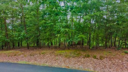 1316 Muskogee Drive