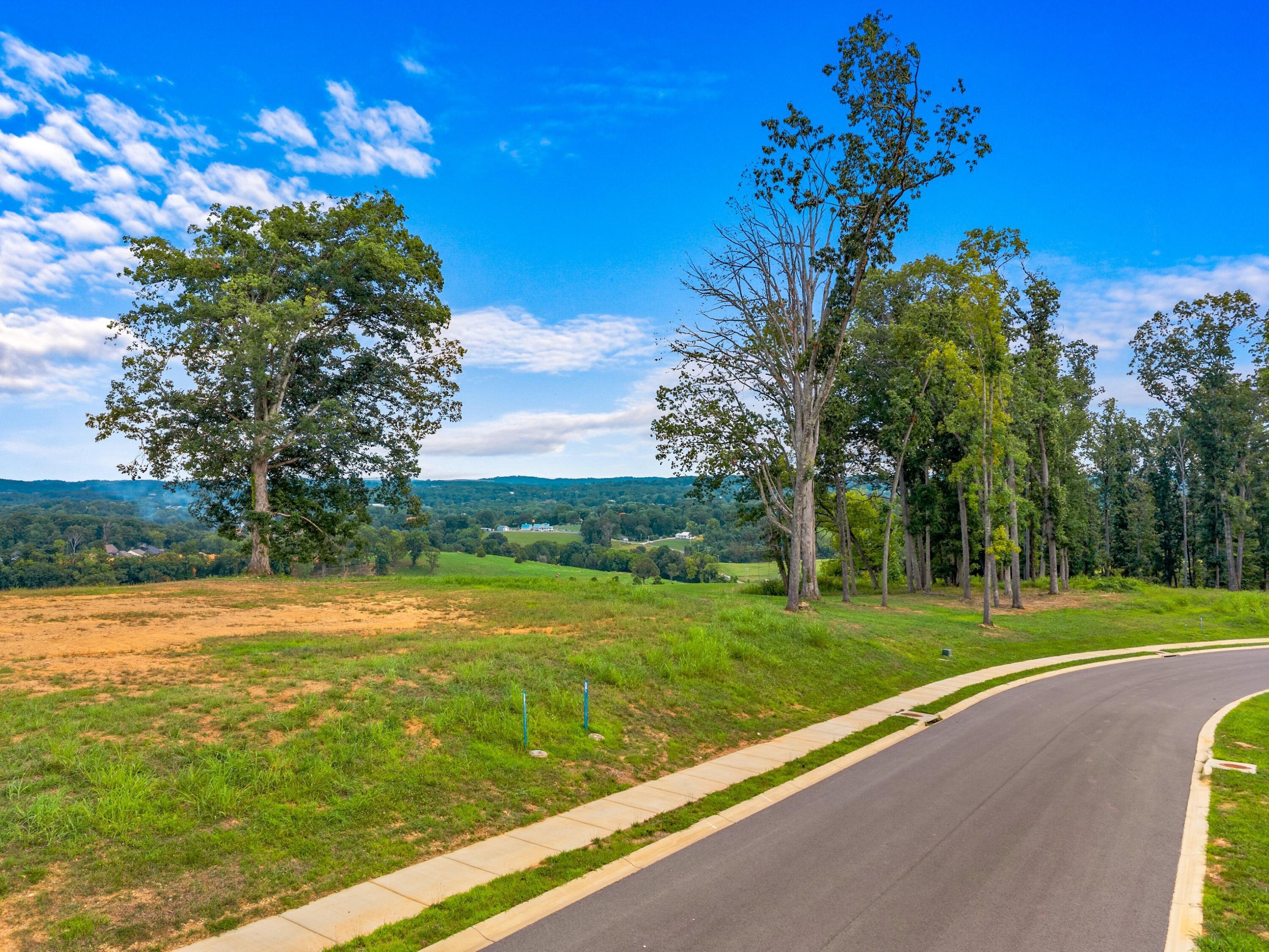 Image 2: 002-Windswept-Morristown-TN-37814-SMALL
