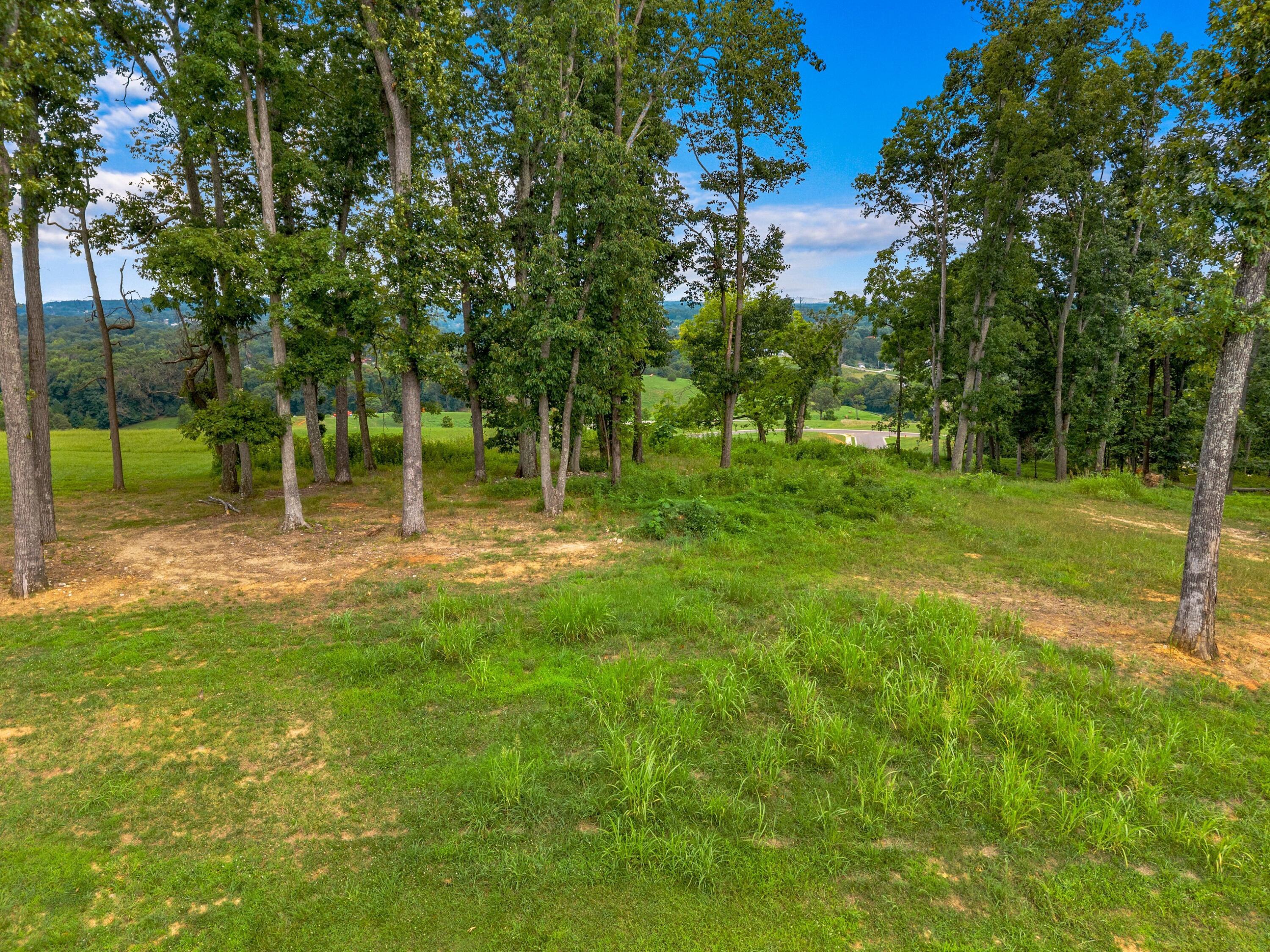 Image 4: 010-Windswept-Morristown-TN-37814-SMALL