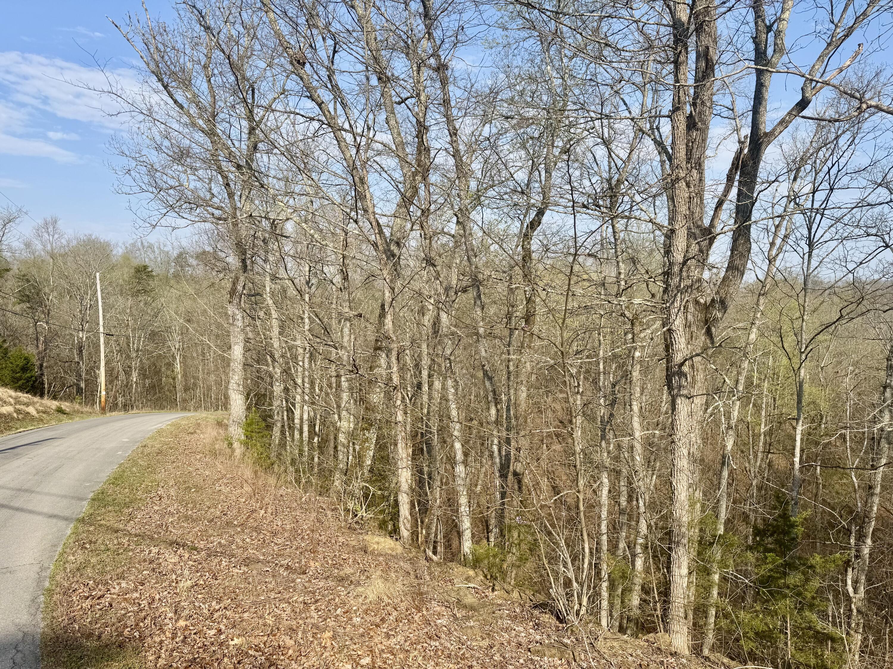 Image 3: IMG_5699