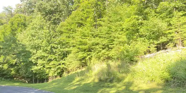 Lot 12 Cove Springs Drive