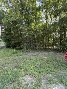 Lot 1023 Cove
