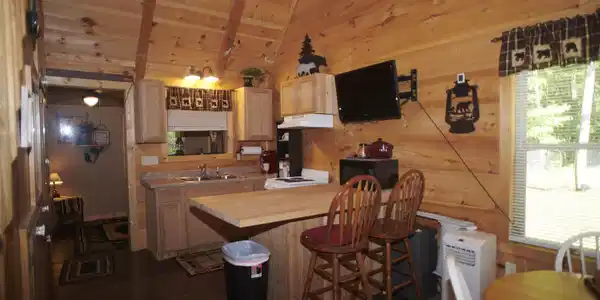 Image 2: cabin 1