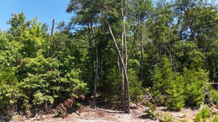 Lot 2 Flat Woods Road